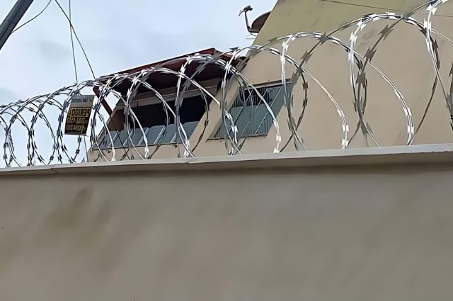 Concertina Dupla Foto-3