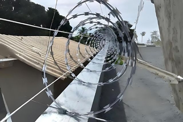 Concertina Dupla Foto-4