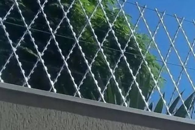 Concertina Rede Laminada