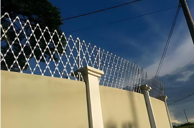 Concertina Rede Laminada Foto-2