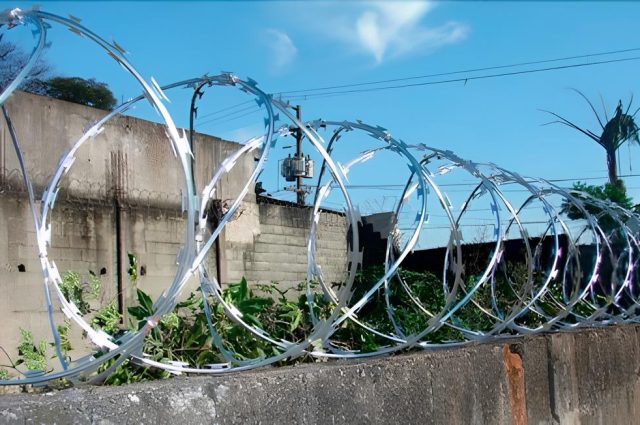 Concertina Dupla Foto-1